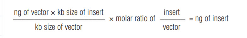 05kb-ligation