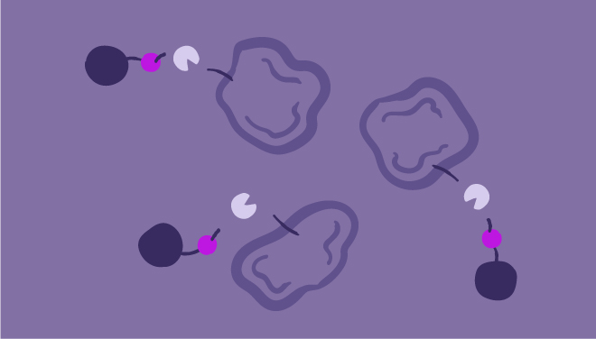 Tags for Covalent Immobilization