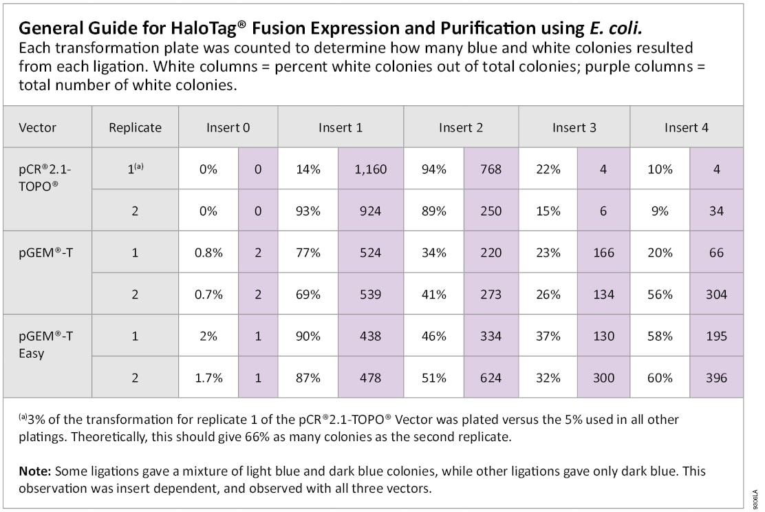 Number of Colonies Tallied for Each T Vector and Insert Size Combination.